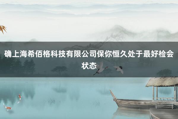 确上海希佰格科技有限公司保你恒久处于最好检会状态