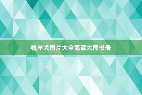 牧羊犬图片大全高清大图书册